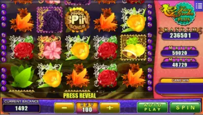 Win Big with Fairy Garden Plus!