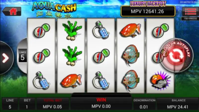 Unlock the Treasures of Aqua Cash!