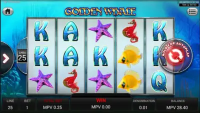 Win Big with Golden Whale Casino!
